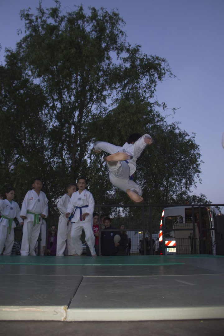Démonstration 2014